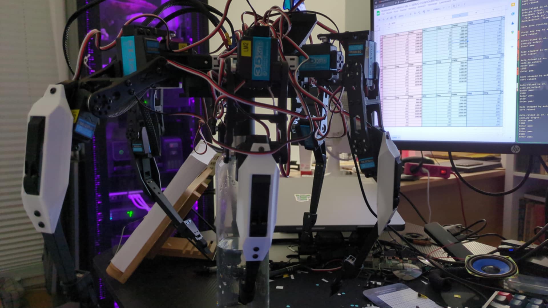 Hexapod Spider Robot